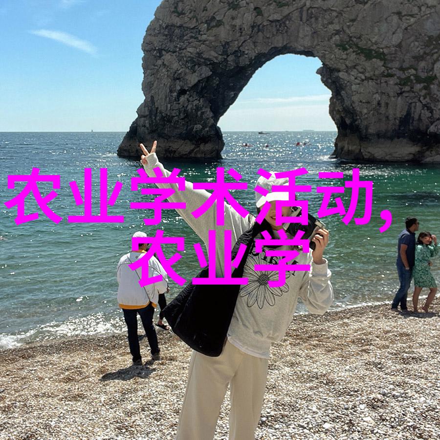玉米种植技巧全解密从播种到收割的详细指南