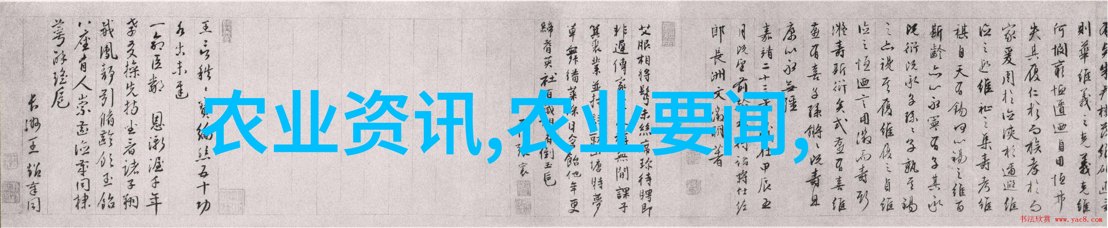 羊群管理技巧养羊经验分享