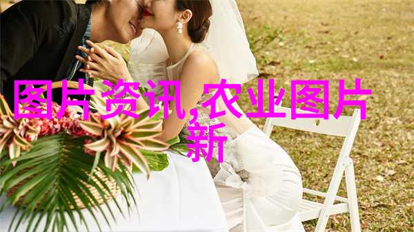 缅甸中文网新闻今天东方日出背后的风暴