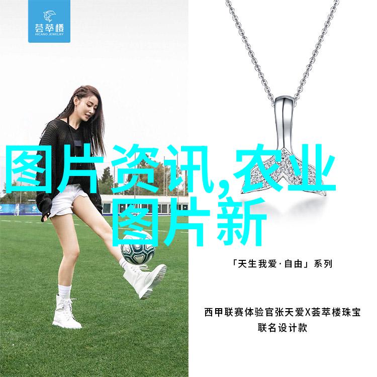 荒野大镖客4阿姨的荣耀40岁女性角色在开放世界游戏中的成长与挑战