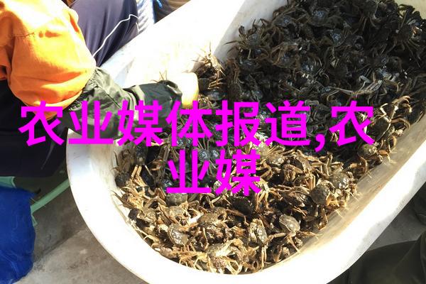 苗木花卉图片大全及价格绿色植物种植指导