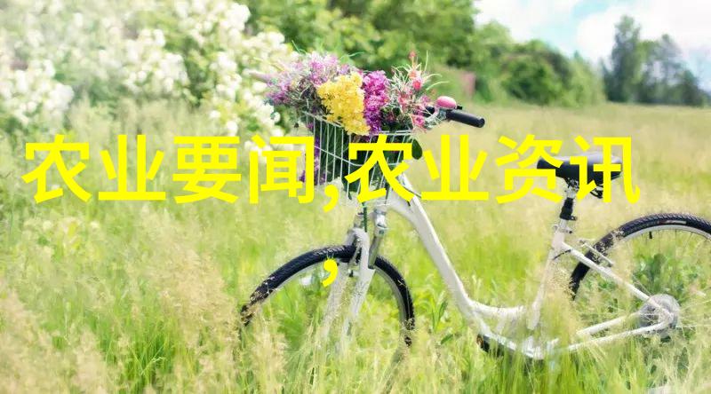 家庭绿植之选10款旺盛生长的室内植物