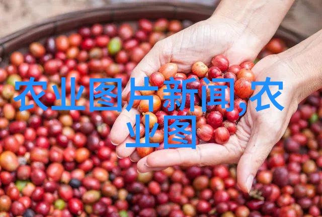 茶树的故事品味中药与美学