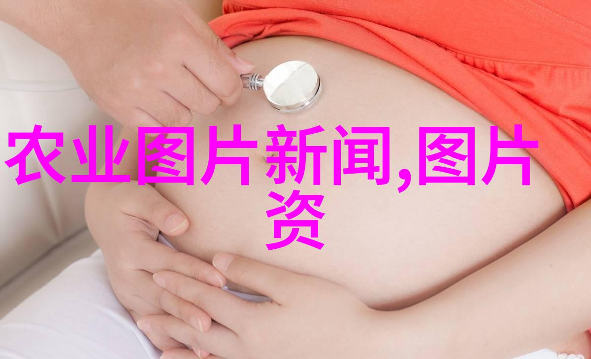 乡村草药宝库探索农村常见中草药300种的秘密