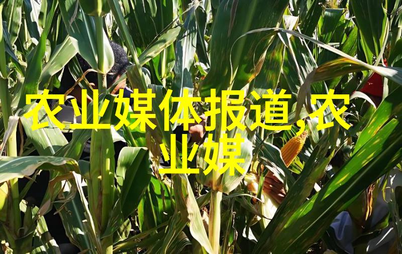 人机协同时代如何与机械手高效合作