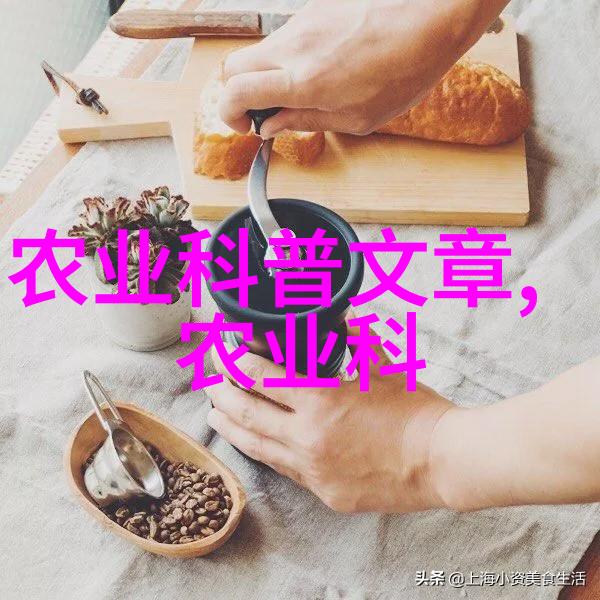 尝鲜小草莓的诱惑探索新鲜采摘的小草莓品种和烹饪技巧
