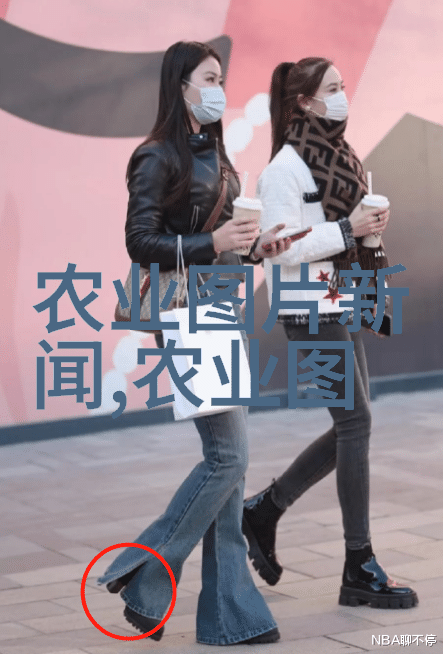 饲料网数字化时代的养殖助手