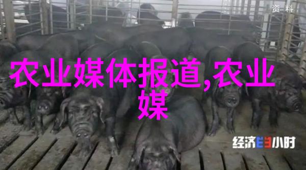 贫困边缘的羊群一个反思养殖生活方式的故事