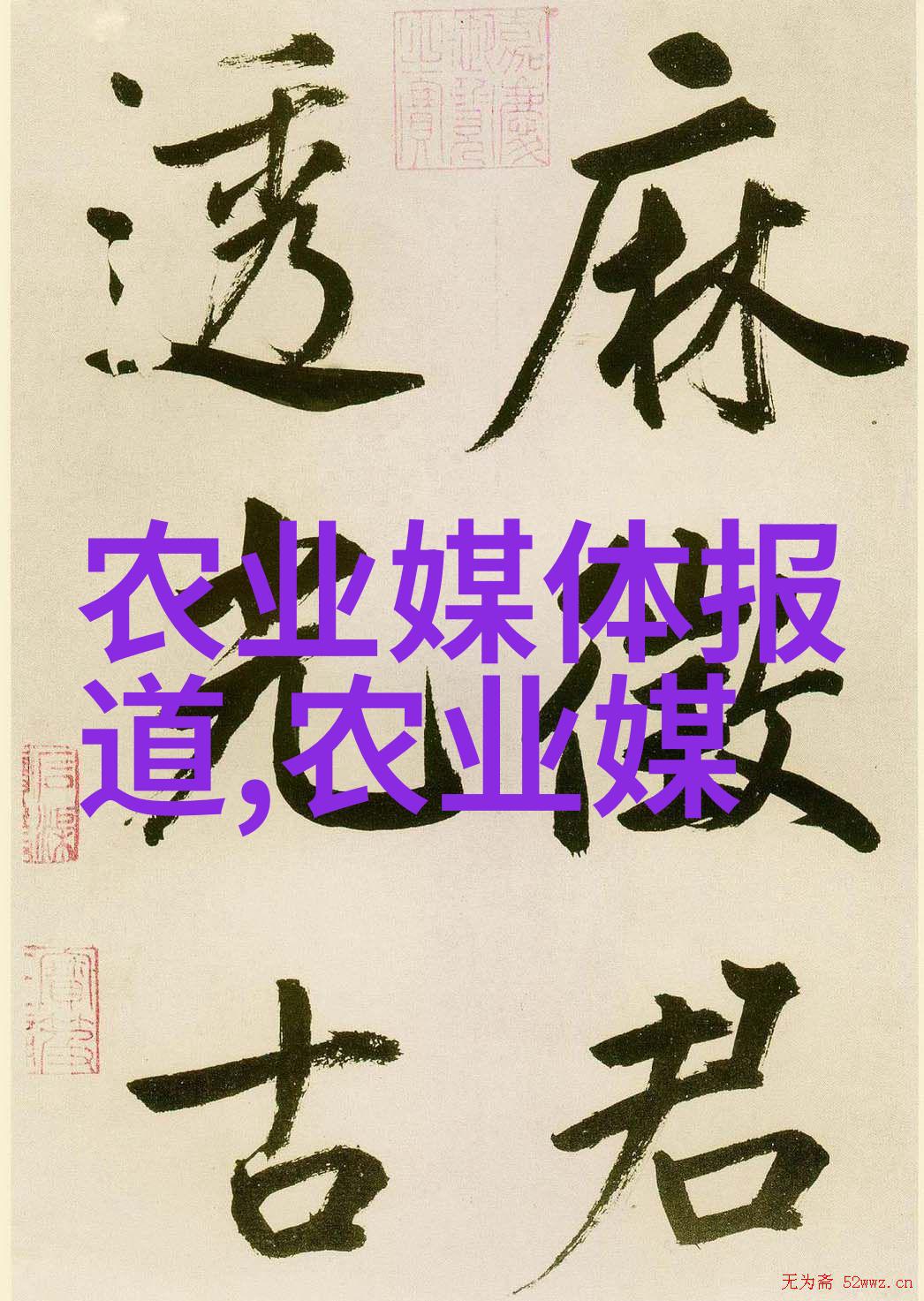 刮油减肥喝什么茶 - 解锁体脂秘密最佳饮用茶选项助力轻松瘦身