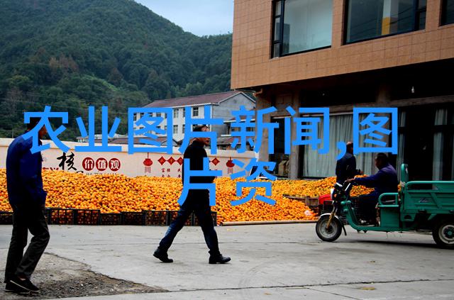 挖沟机咱们的土豪金级别地基打桩机