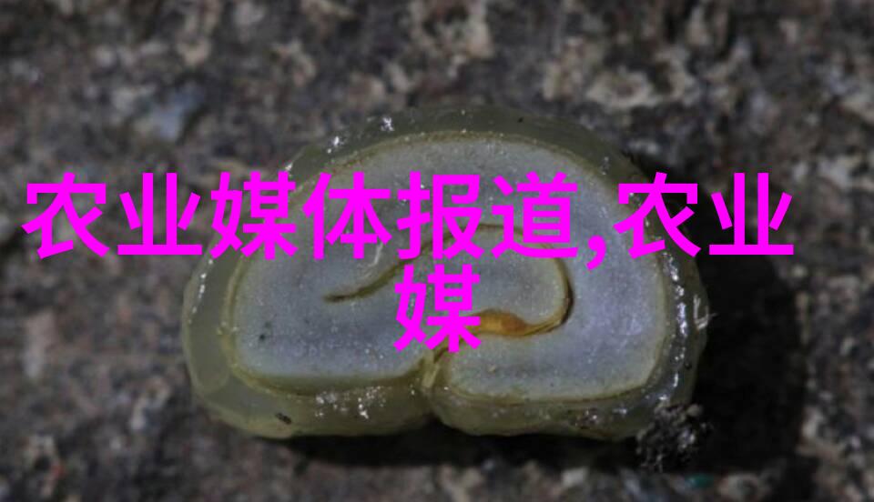 冰雪中的秘密花园冬季室外耐寒的花卉之谜