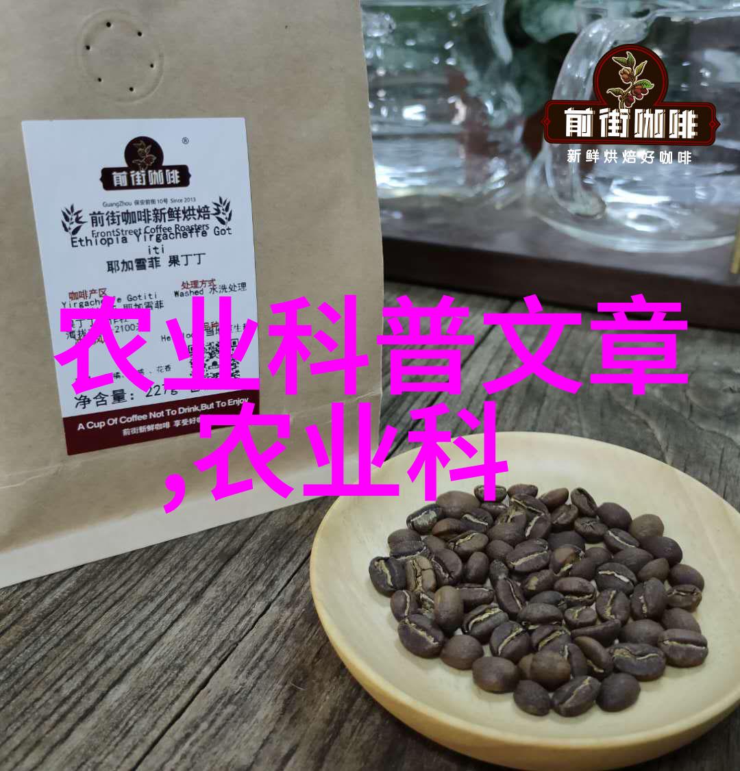 设计一个可持续性的家庭庭院时我们应该遵循哪些原则和步骤来确保其长期成功