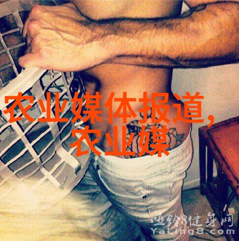 花卉种植技巧全解析从土壤调理到养护秘诀