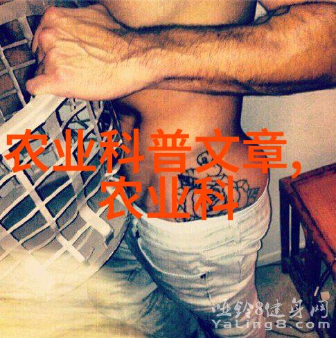 掌中星际我手中的宇宙揭秘那些神奇的天体应用