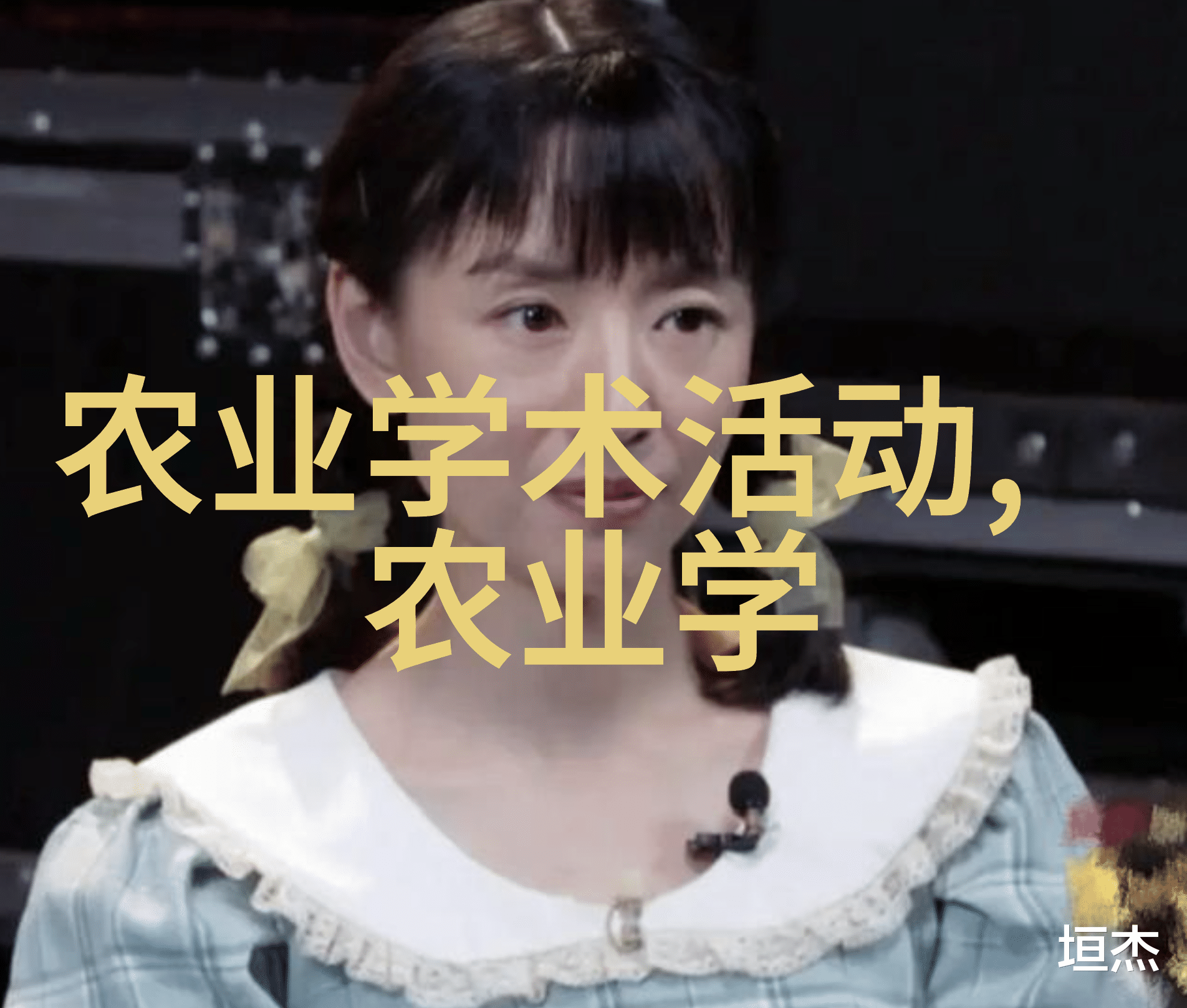 农村创业小型加工厂背后的秘密成功的故事与未解之谜