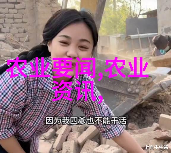 蜂蜜与笑声家庭养蜂的5个不可忽视的小贴士