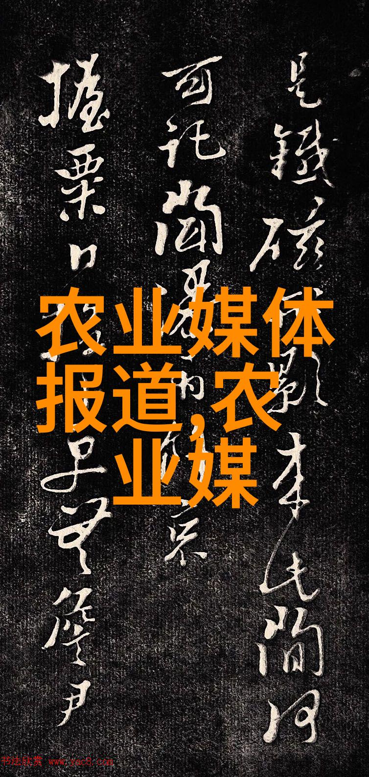 品味茶香从乌龙到绿茶探秘各类名贵茶叶
