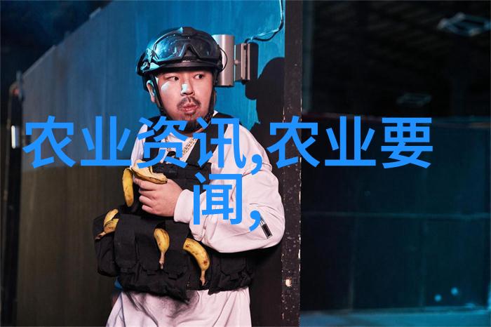 C语言的缓慢而有力之旅