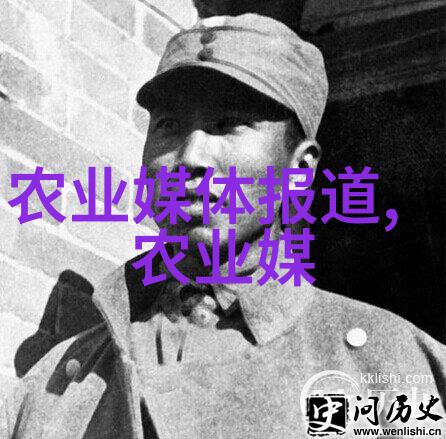 缅甸中文网今日新闻热点深度解读缅甸最新中文网络新闻动态