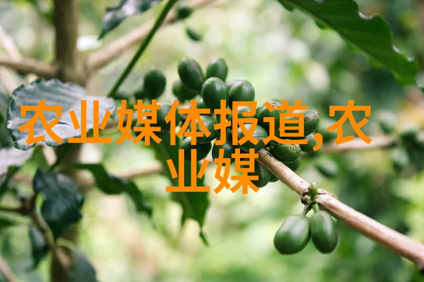 不懂就问正确使用烟雾枪对养护有什么好处