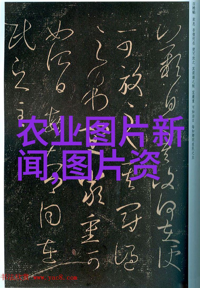 木工机械世界剖析木工加工的新时代