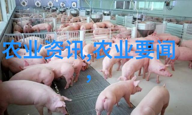 寻觅樱桃树苗在遥远的果园里