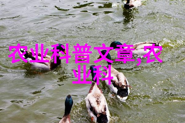 园艺爱好者必备指南室内外装饰用花卉图片推荐