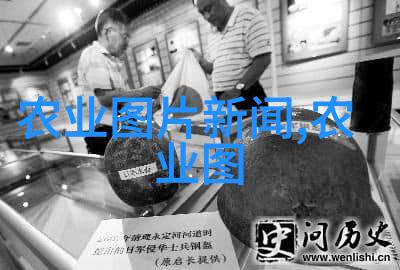 仙界走私大鳄我和仙界最牛的走私大鳄是怎么摊老的
