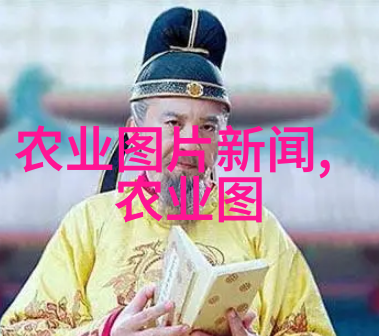 榨油机的旋转揭秘农村生活中的传统油脂生产