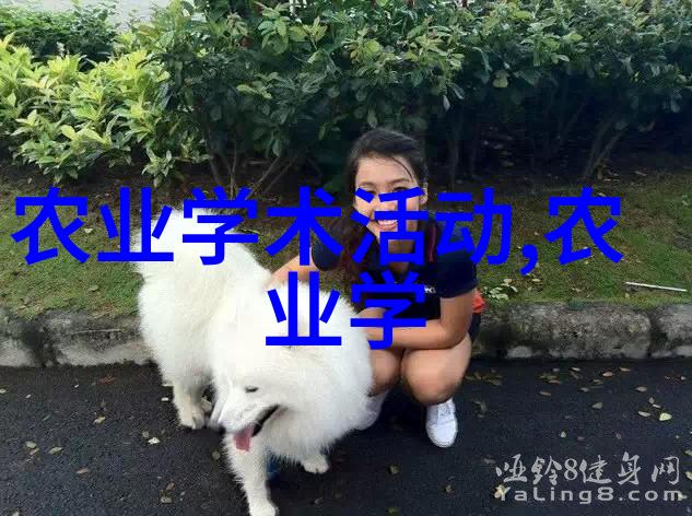 铸就精密模具的无声先锋