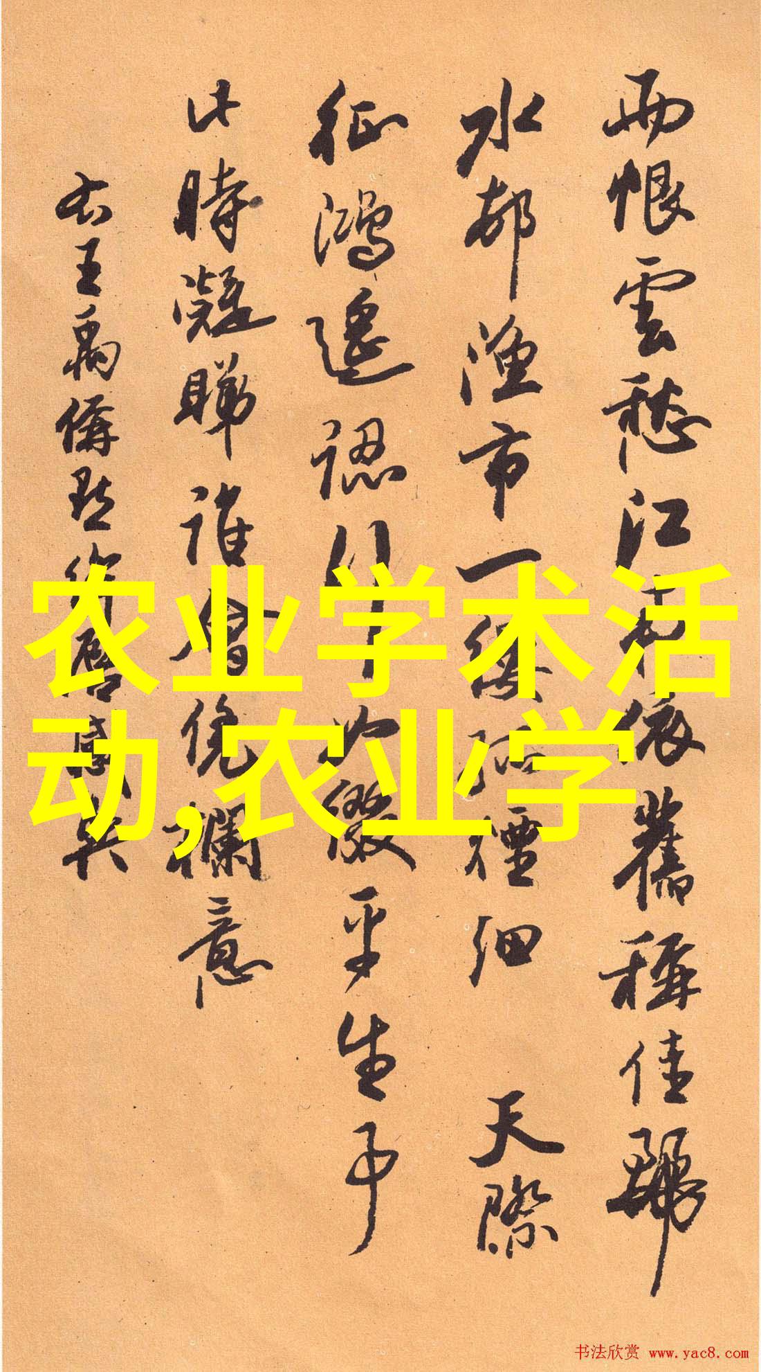 破晓前行农机化信息网的未知之谜