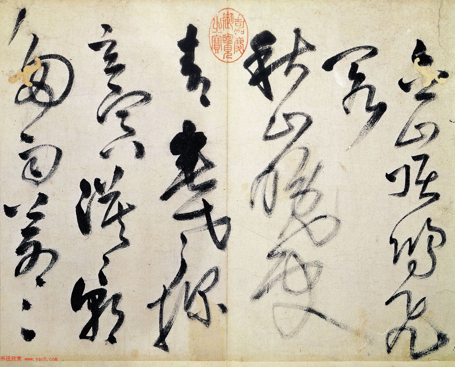 蓝莓