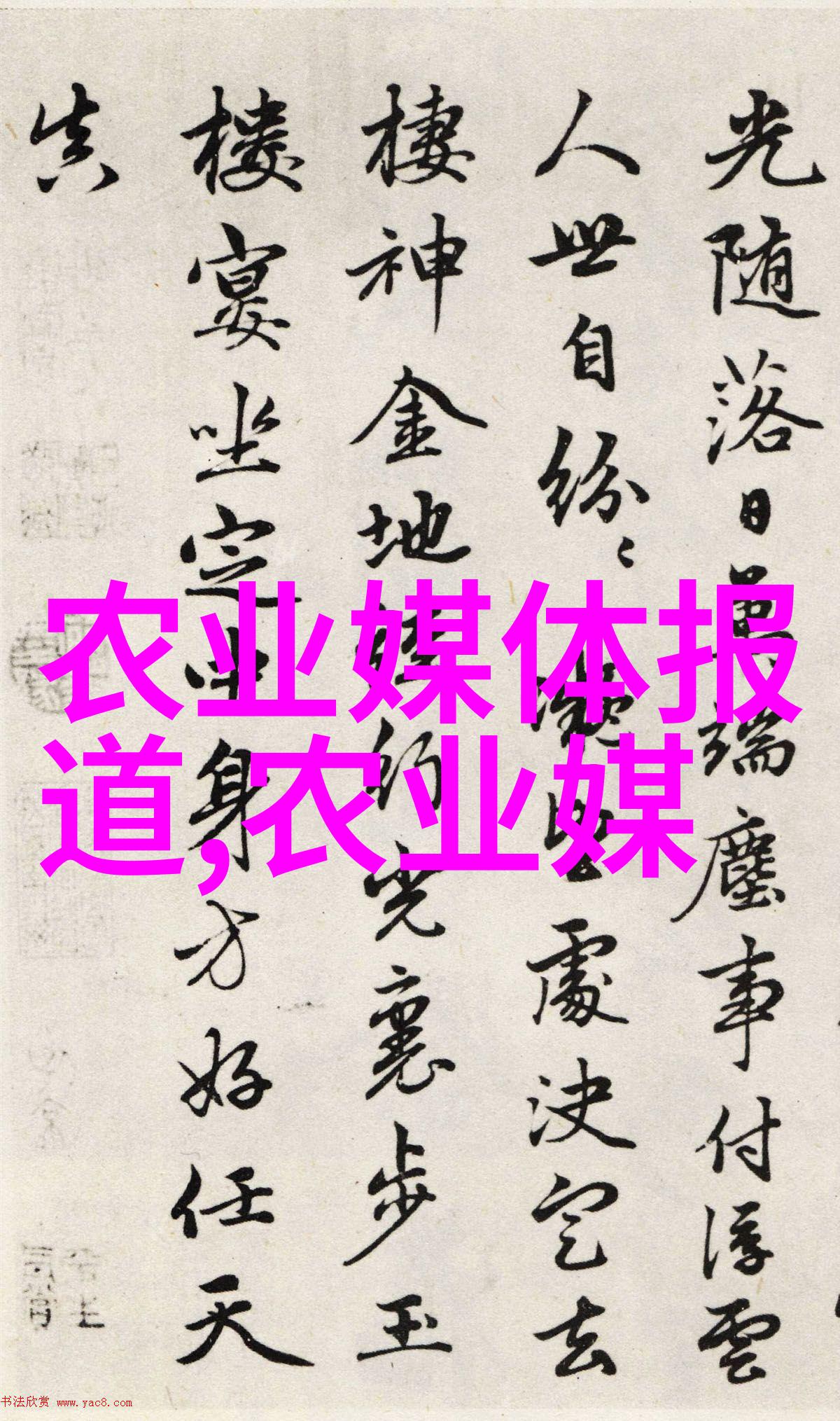 从田间到家庭如何选择适合自己种植的中药材