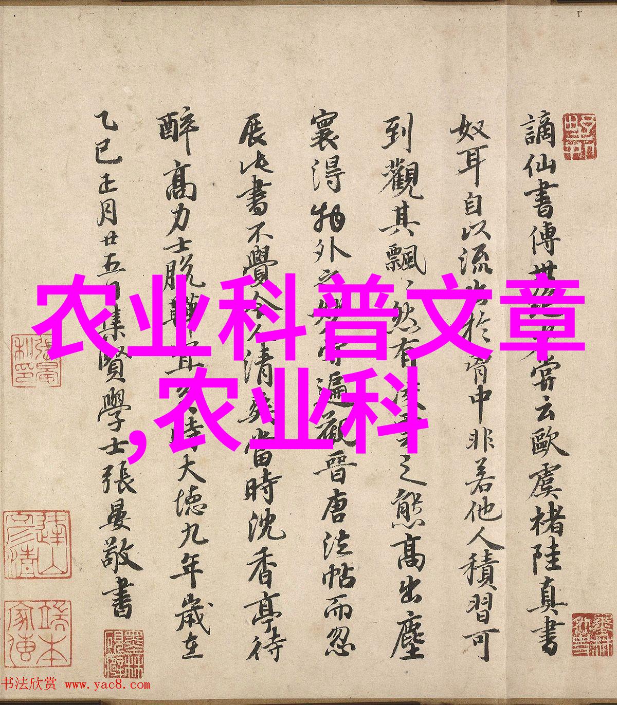 绿茵生机人工手动插秧机的故事