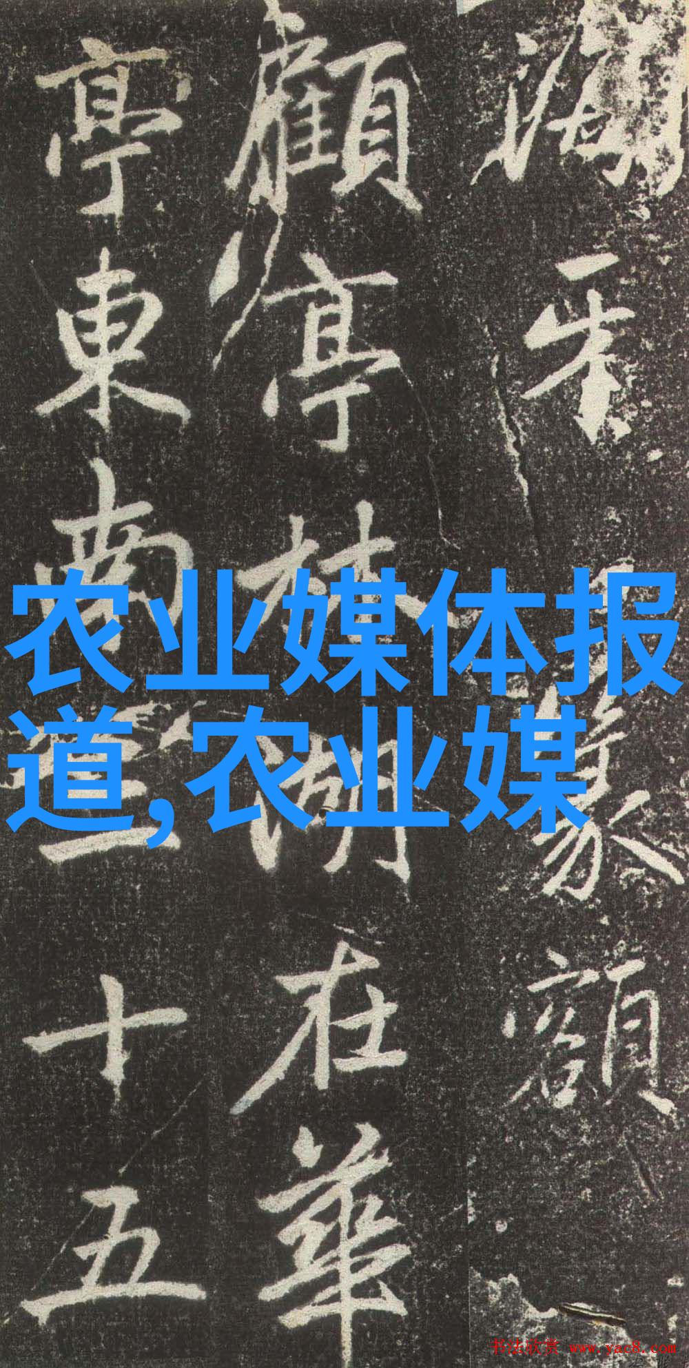 水培蔬菜的危险家中不宜种植的秘密