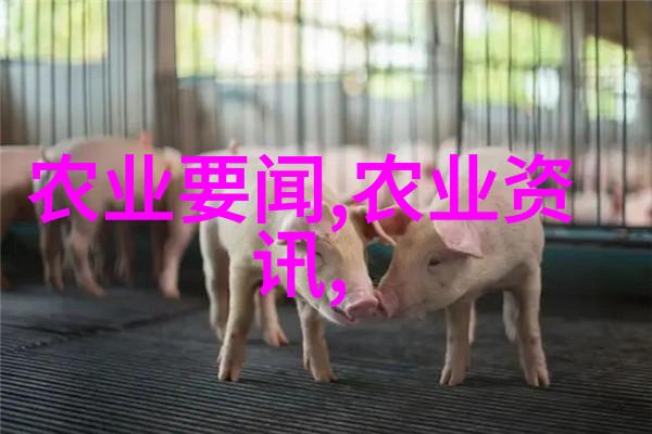 成都草莓苗批发市场鲜花般的绿色宝藏