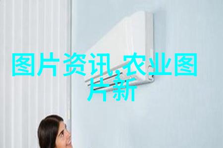 养蜂技艺 小蜜蜂怎么养蜜蜂小窍门从基因选择到避免疾病的秘诀