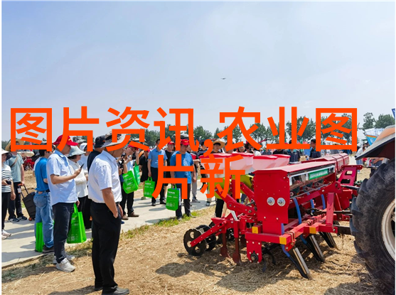 科技赋能农场利用智能设备提升养牛效果