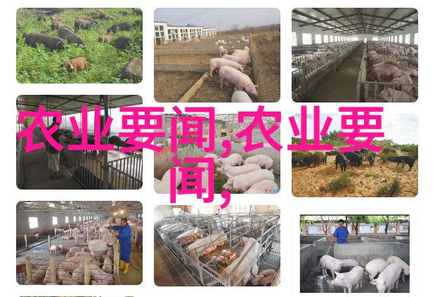 大棚种植技术现代农业的高效绿色生态方式