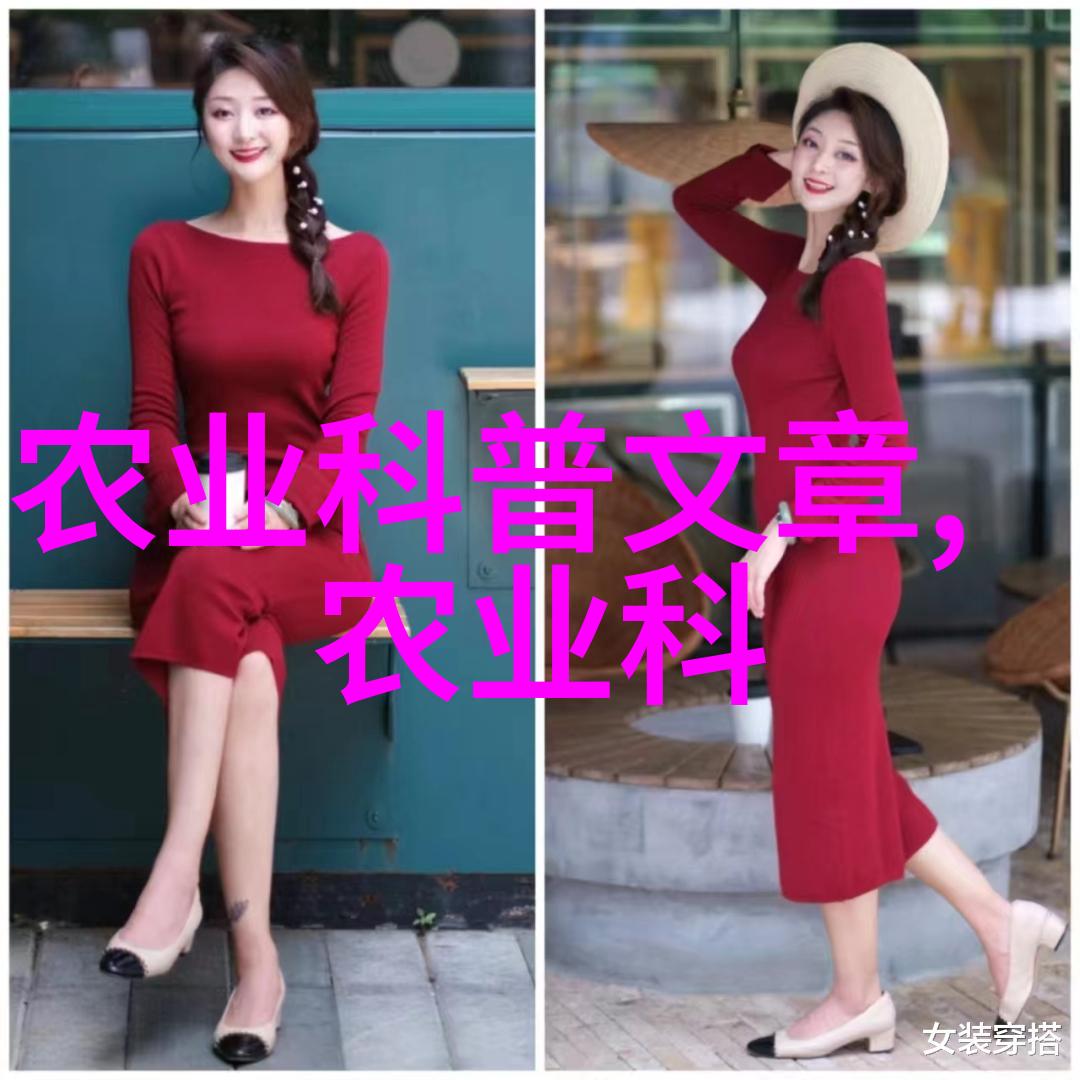 羊群的新家设计与搭建养羊大棚的全过程