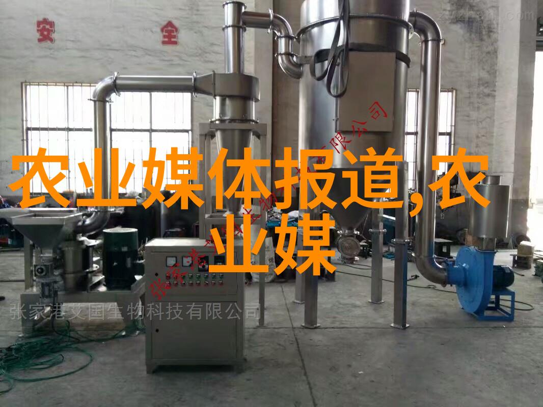 桔梗种植技术全解析与亩收益分析开启高效养护之路