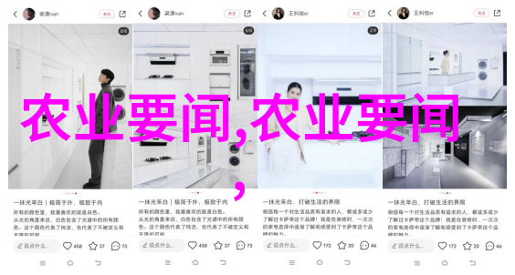 家居美化家庭盆景花卉图片大全展示精选