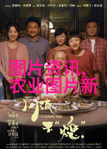 揭秘高产蔬菜种植技巧从土壤调理到节水灌溉的智慧之道