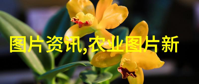 释迦果种植条件与区域佛教圣果的生长需求和分布地