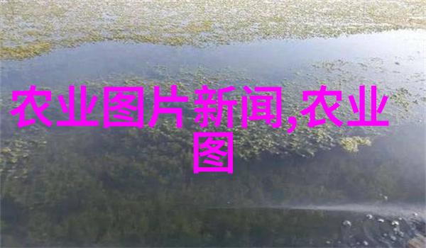 花卉植物大全探索万种颜色的绿意与美丽