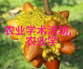 dinkum蜜蜂养殖指南从繁育到蜂蜜的全过程