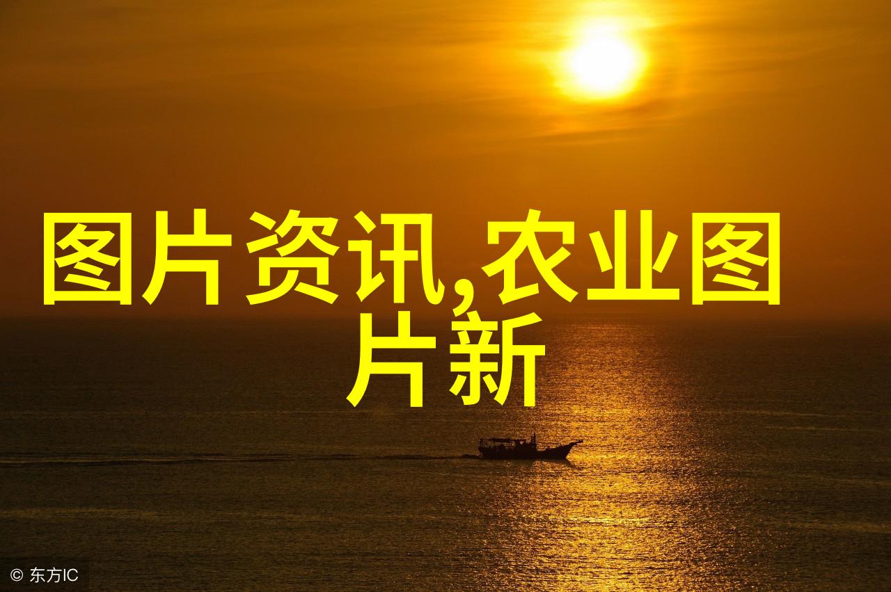 水利与灌溉技巧提升作物生长效率