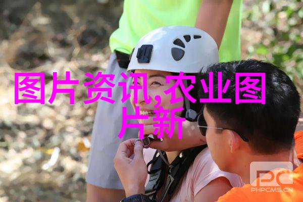 国之宝药海外市场对中药材的疯狂追捧
