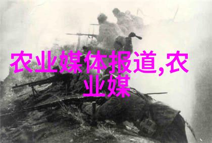 品茗益寿探索喝茶叶的健康好处