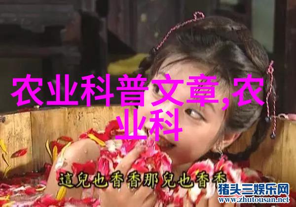 农户大棚建设成本分析